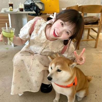 2024元宵奇妙游 封面