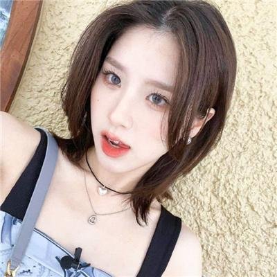 抗体 封面